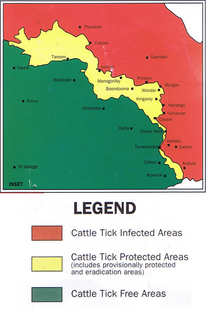 Tassiriki Ranch - Cattle Tick Information